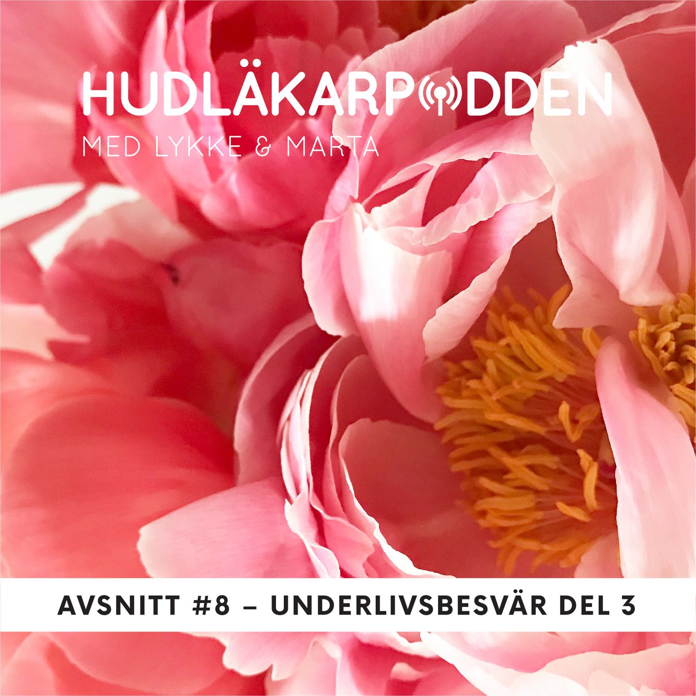 Hudläkarpodden