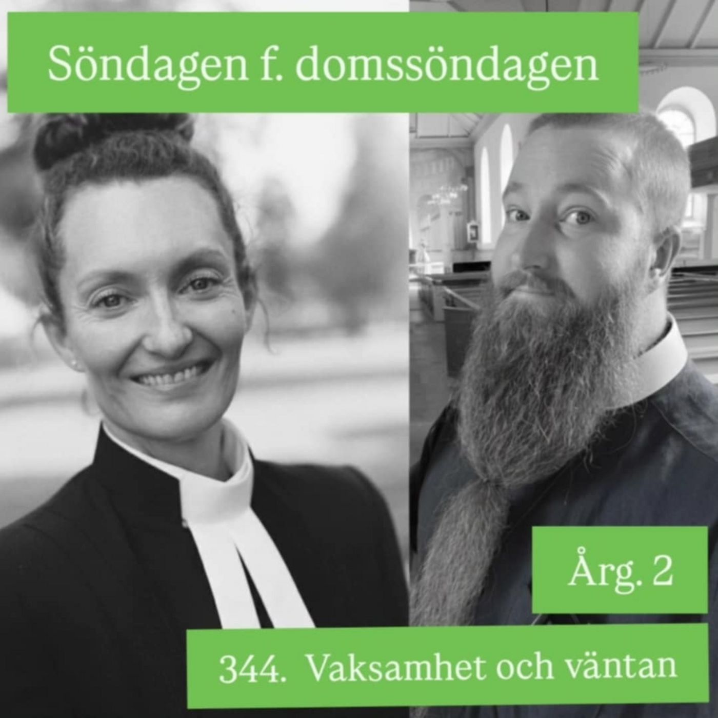 344. Söndagen före domssöndagen