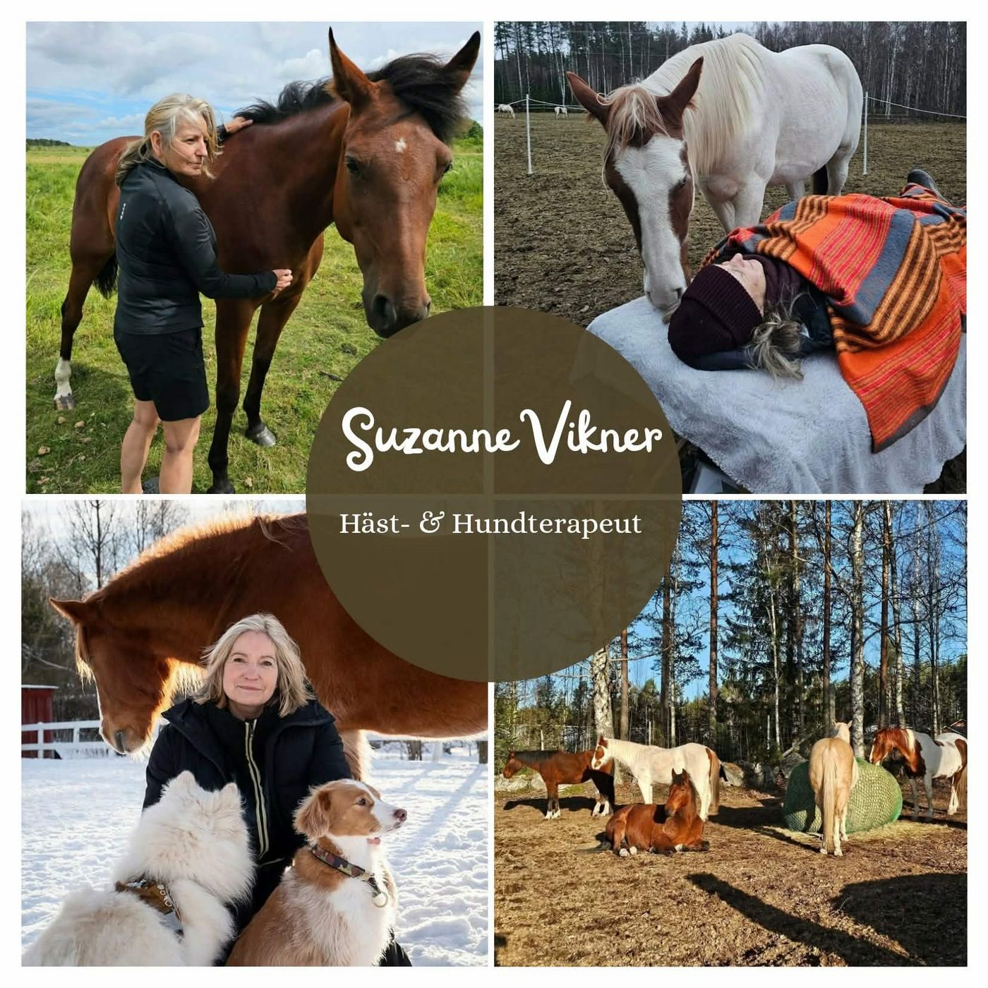 Avsnitt 67 Suzanne Vikner episode artwork