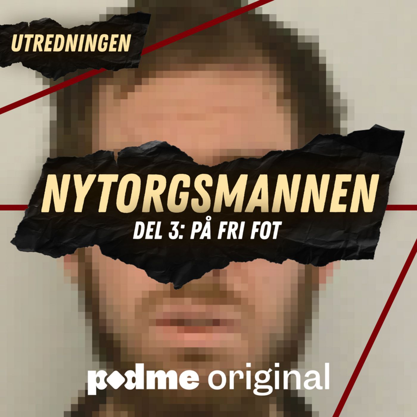 Fallet Nytorgsmannen – Del 3: På fri fot