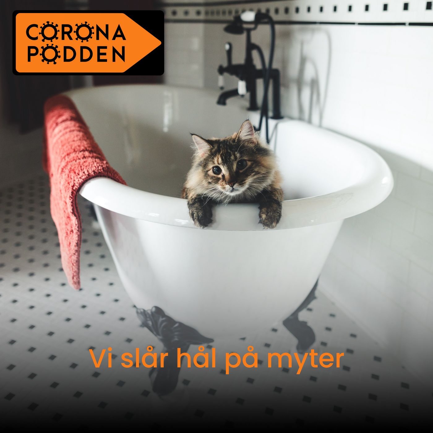Coronapodden