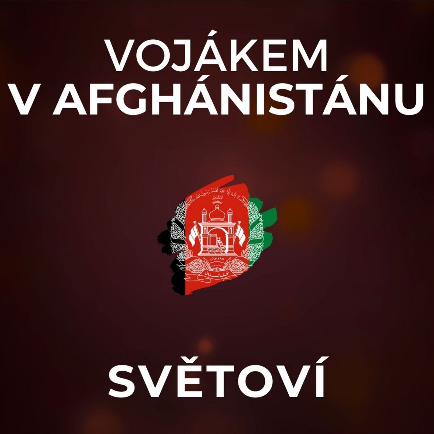 Petr Matouš: Tálibán byl respektovaný nepřítel. Afghánské vojáky výcvik často nezajímal. | SVĚTOVÍ