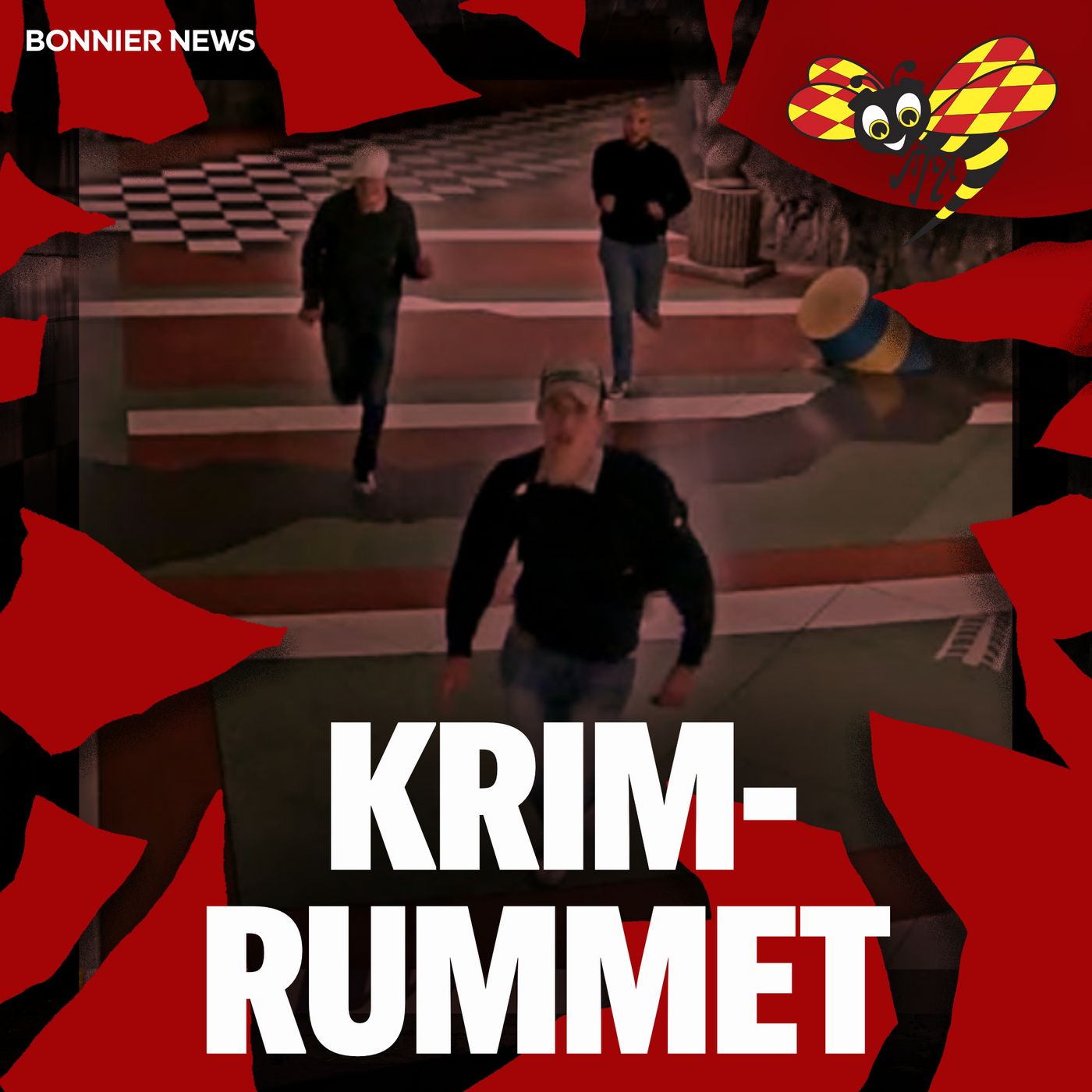 Aktivklubb – den nya nazistvågen Aktivklubb – den nya nazistvågen