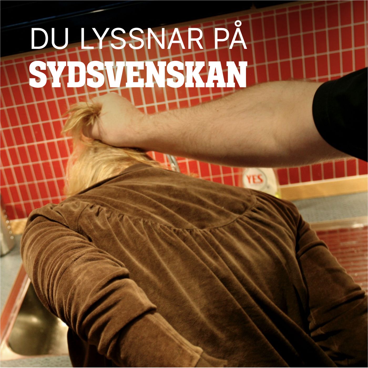 Här är polisens nya vapen mot männen som slår episode artwork