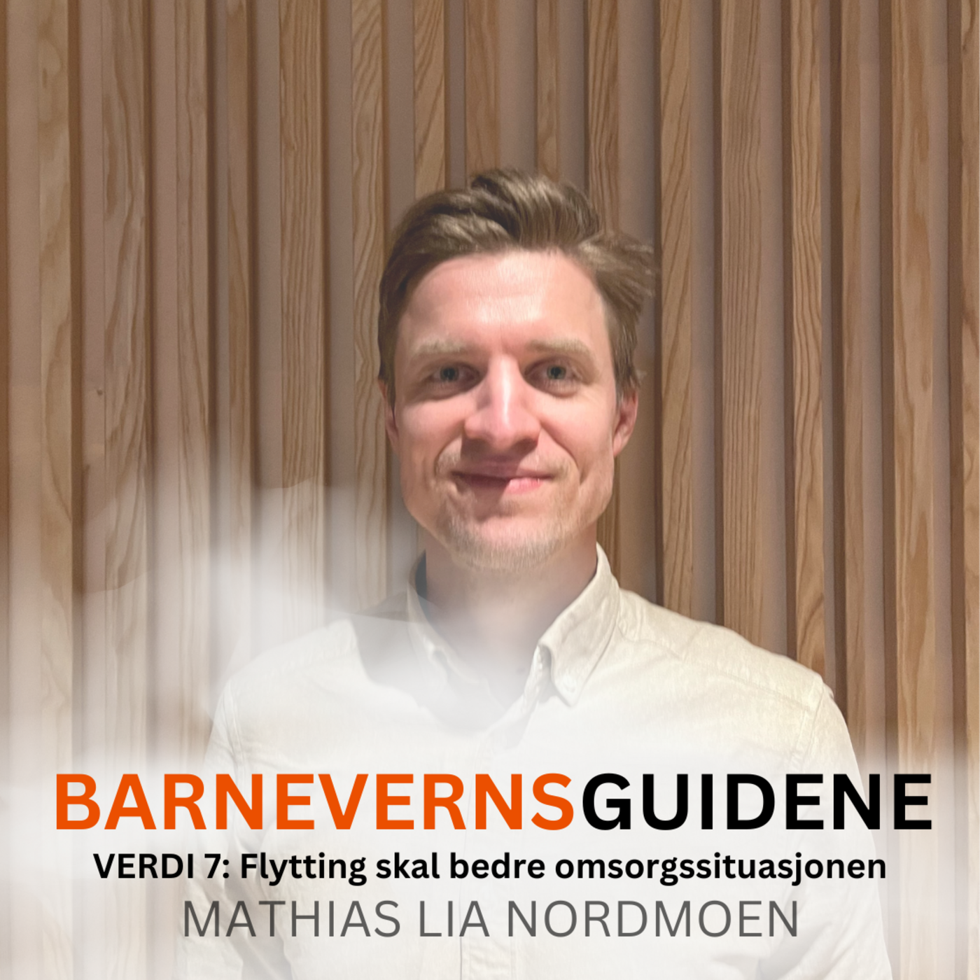 Barnevernsguidene