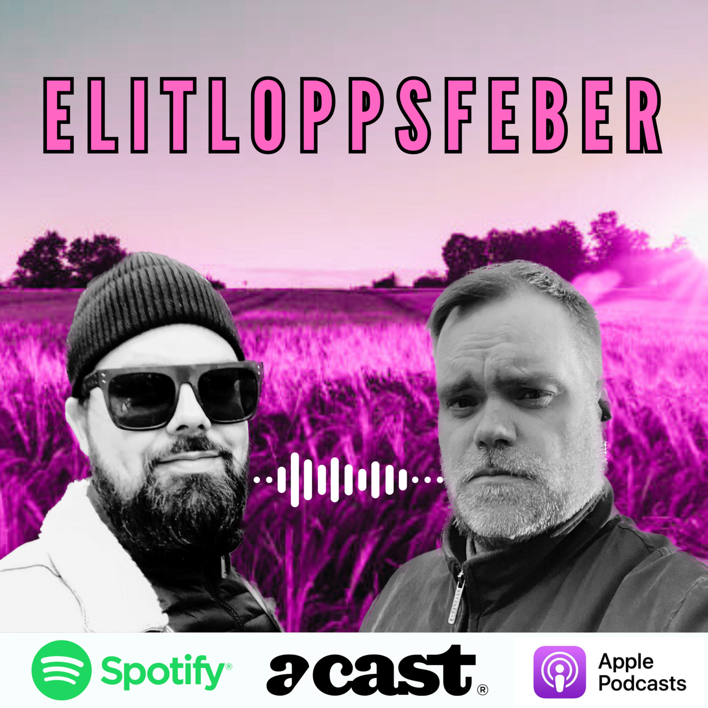 Travfeber är Sveriges bästa travpodd