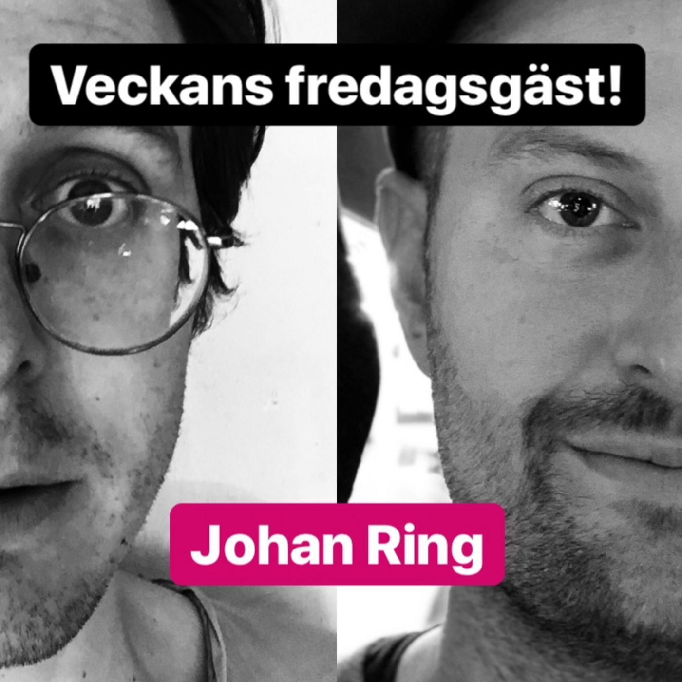 Rådjur i regnet