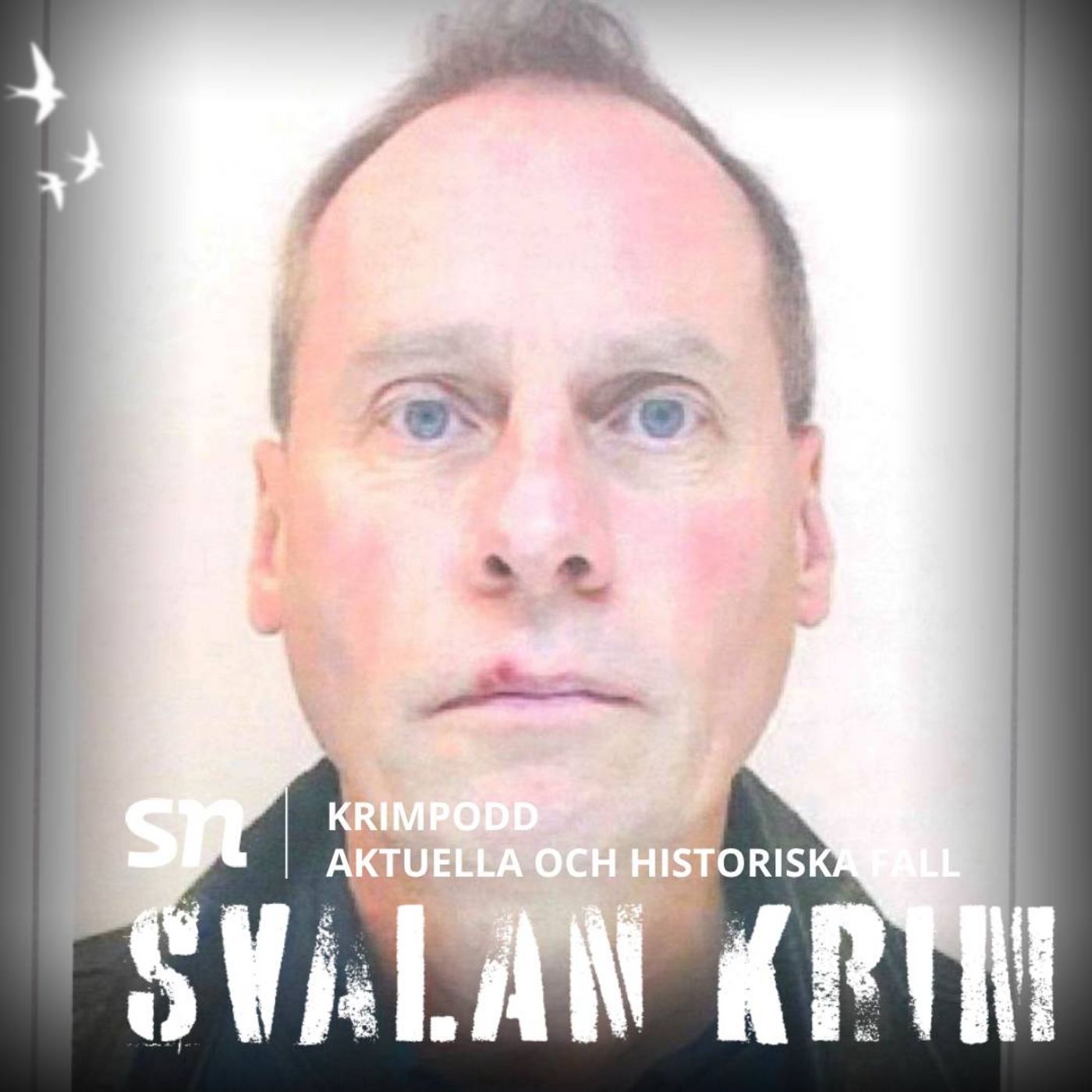 Svalan Krim