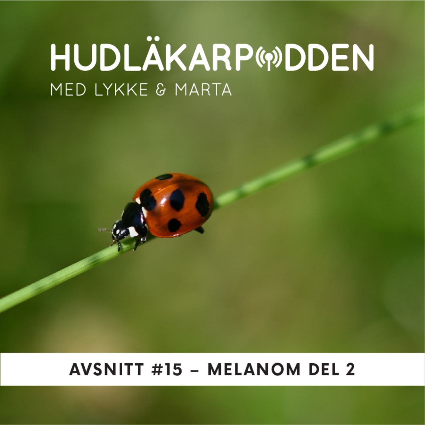 Hudläkarpodden