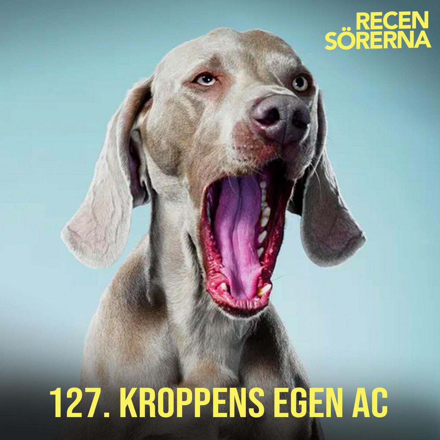 127. Kroppens egen AC