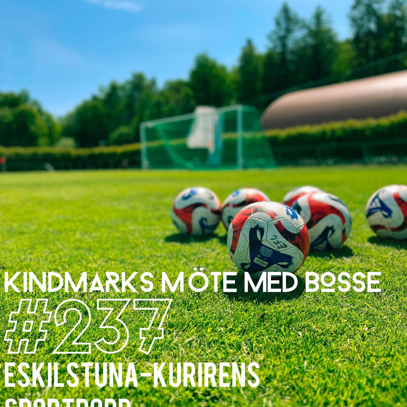 Episode 237: Kindmarks möte med Bosse episode artwork