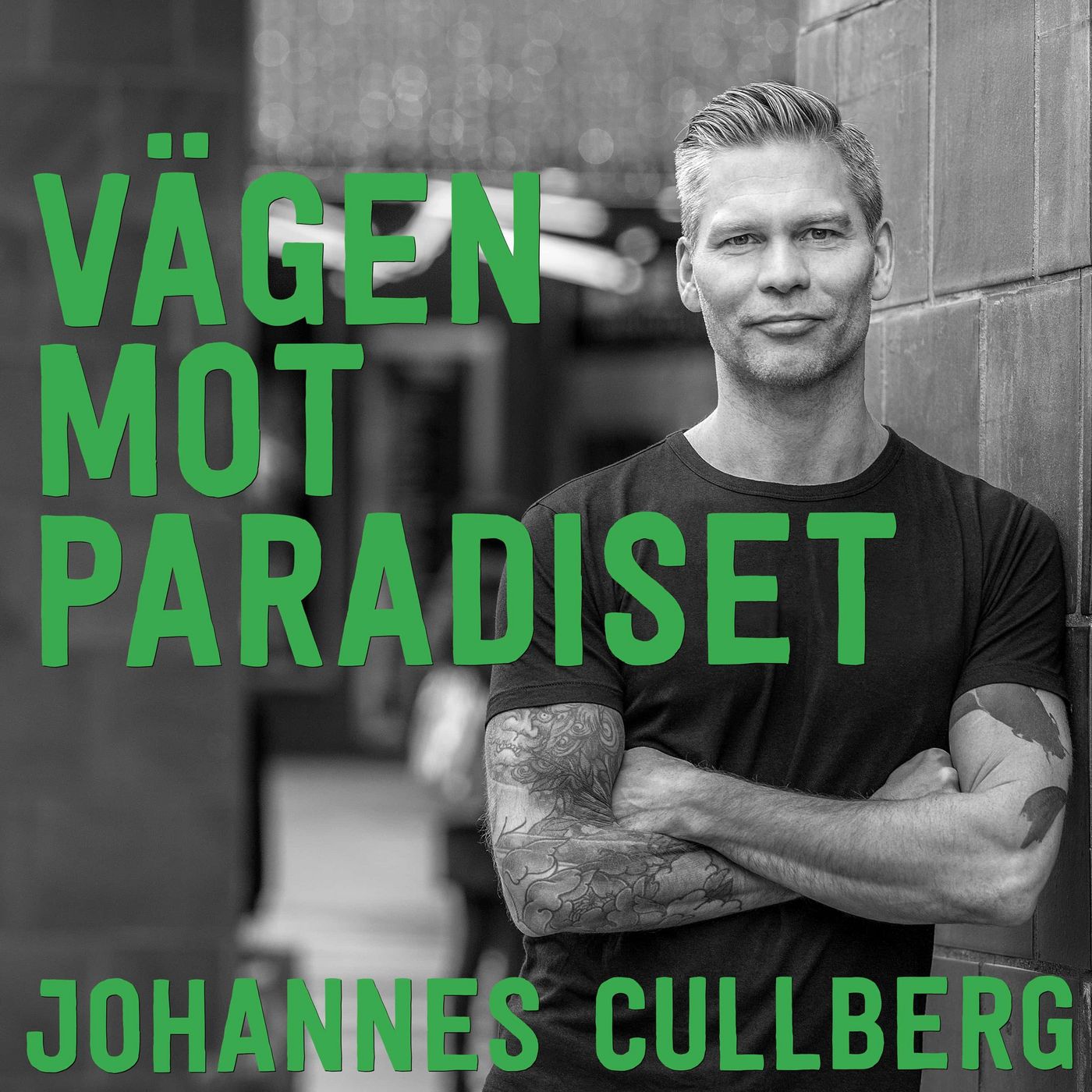 8. Therese Alshammar: Livet Efter Simningen, Original episode artwork
