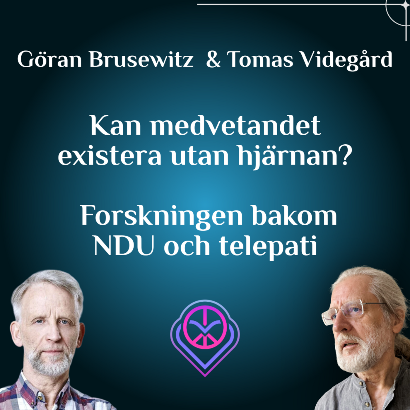 Kan medvetandet existera utan hjärnan? Forskningen bakom NDU och telepati episode artwork