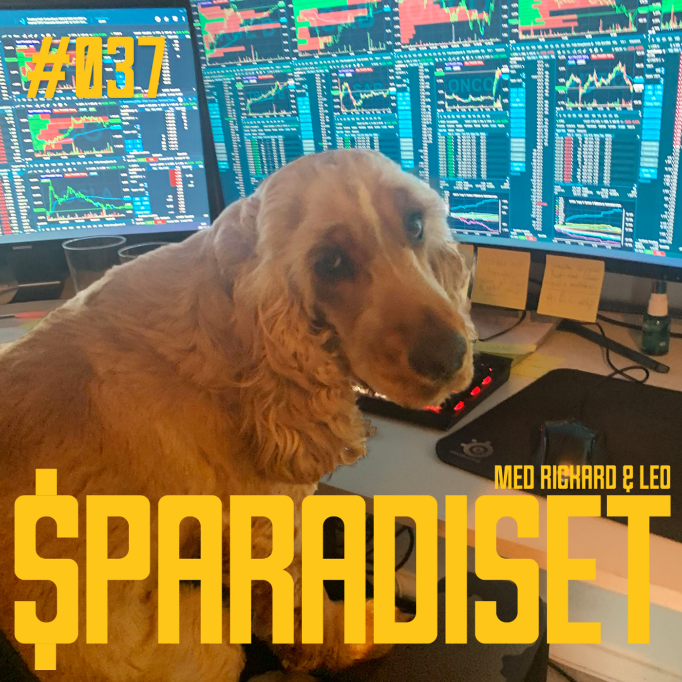 Sparadiset