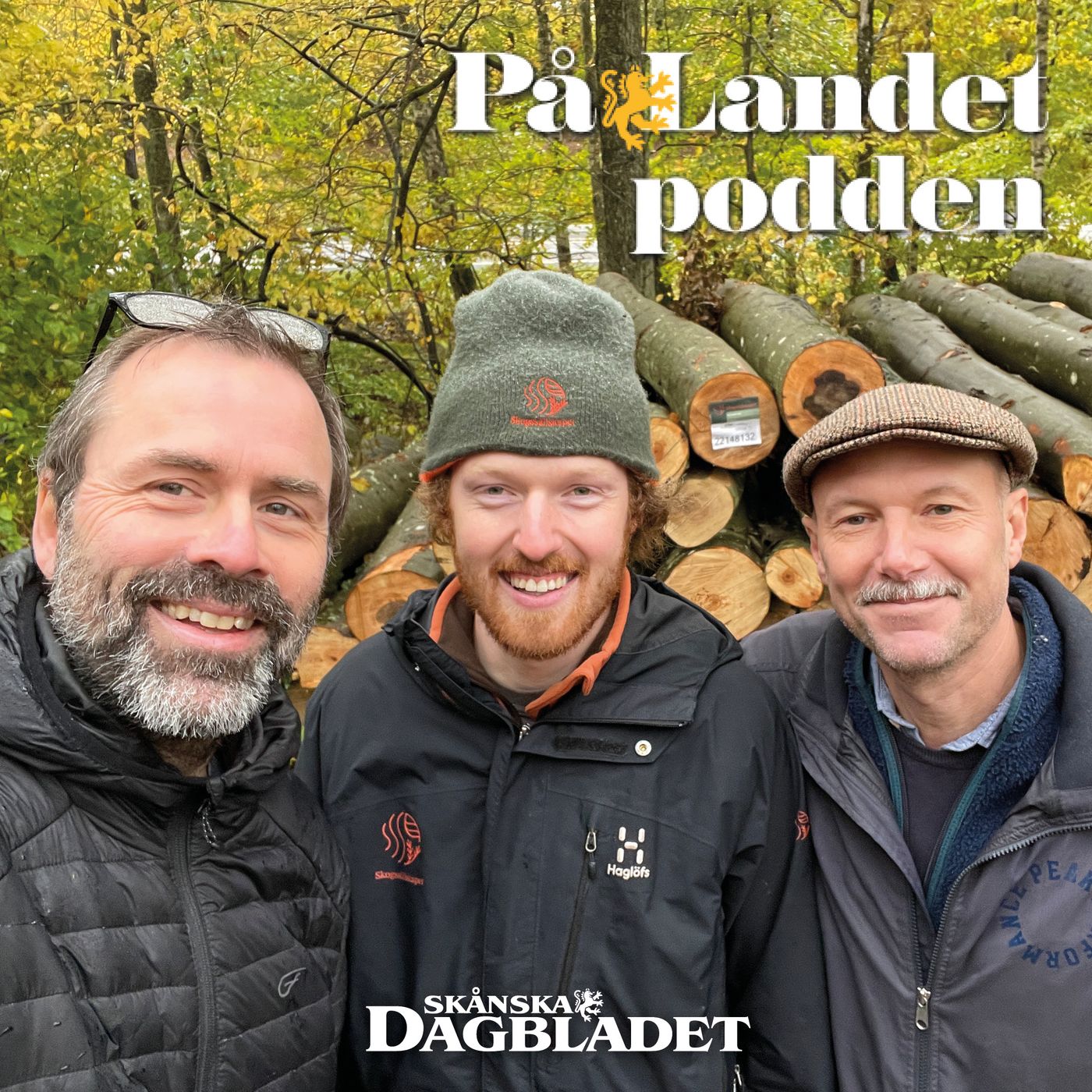 Sällskap i skogen