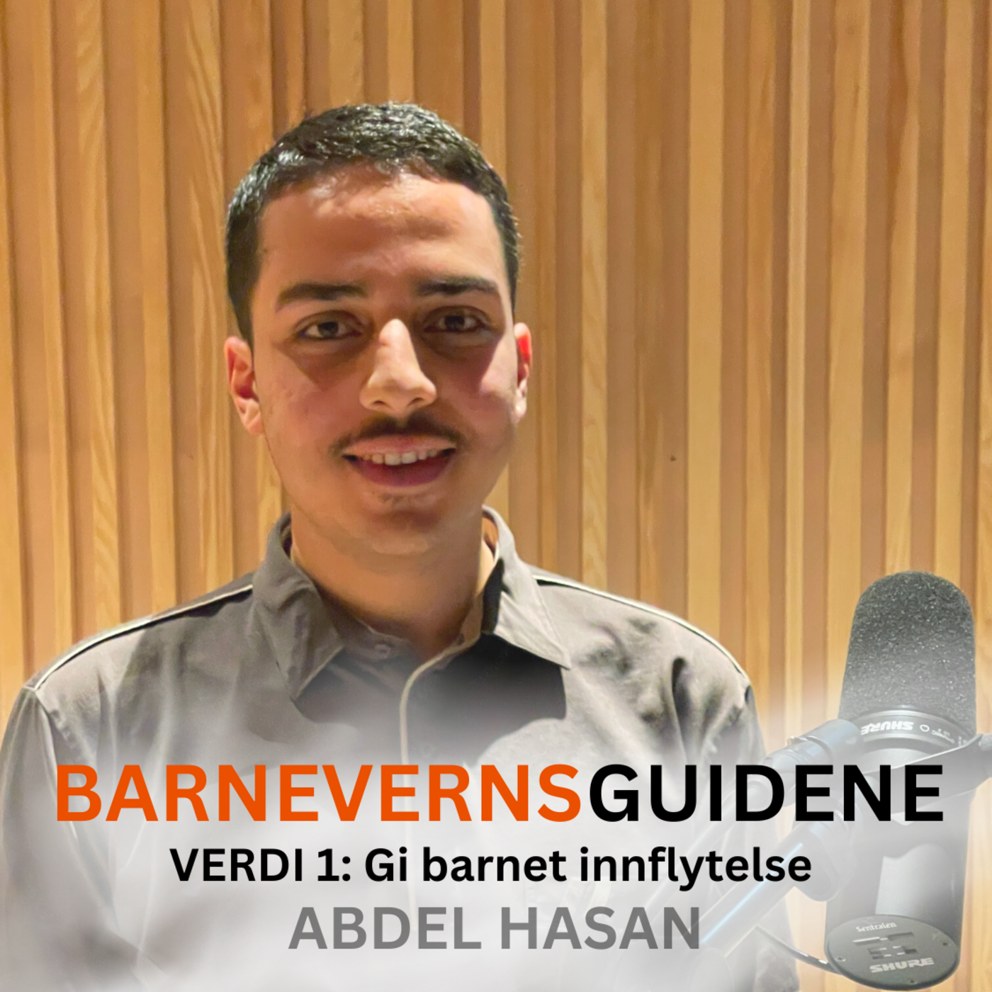 Barnevernsguidene