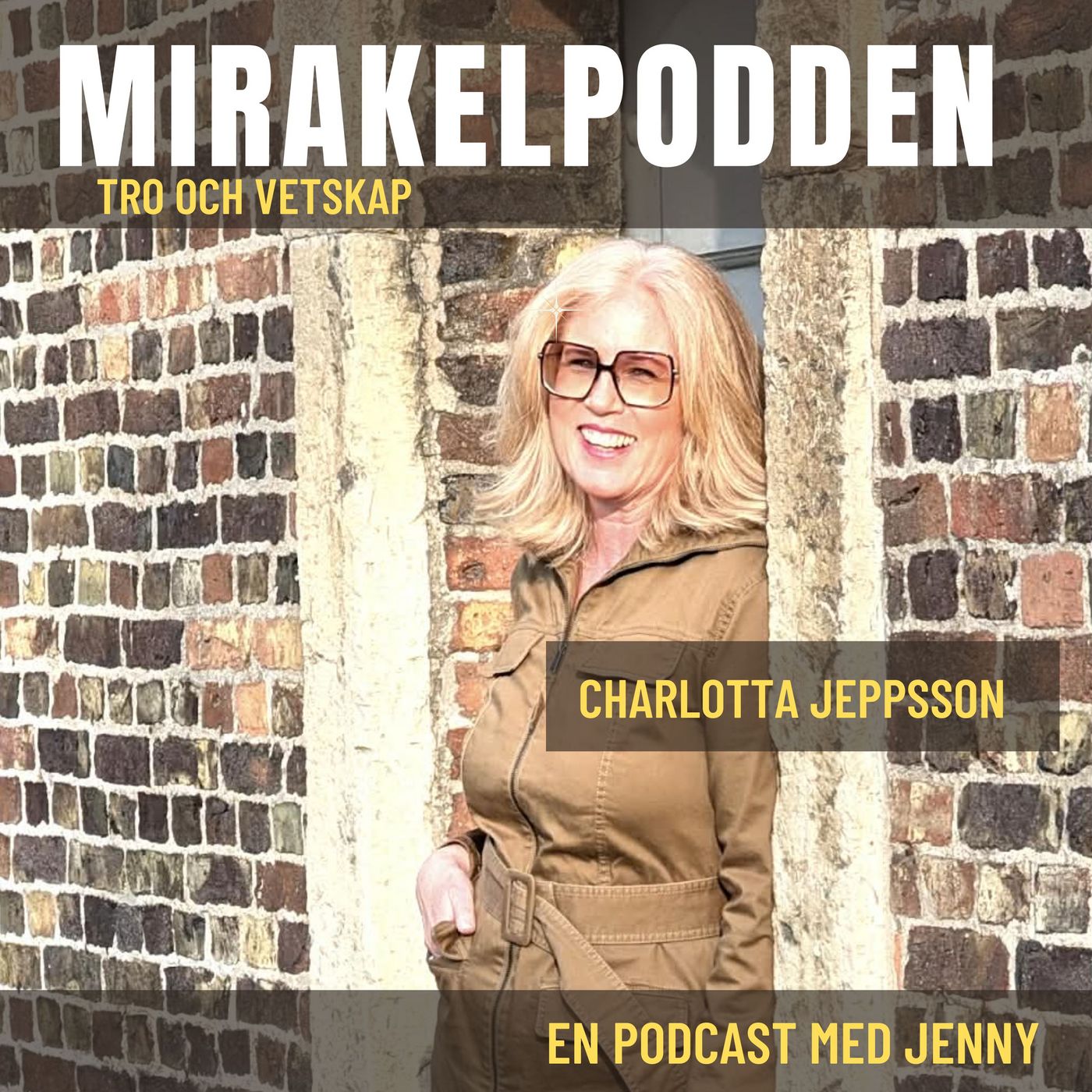 7. Charlotta Jeppsson - NDU - Fick en septisk chock, lämnade kroppen, träffade ljusvarelser och fick budskap om framtiden episode artwork
