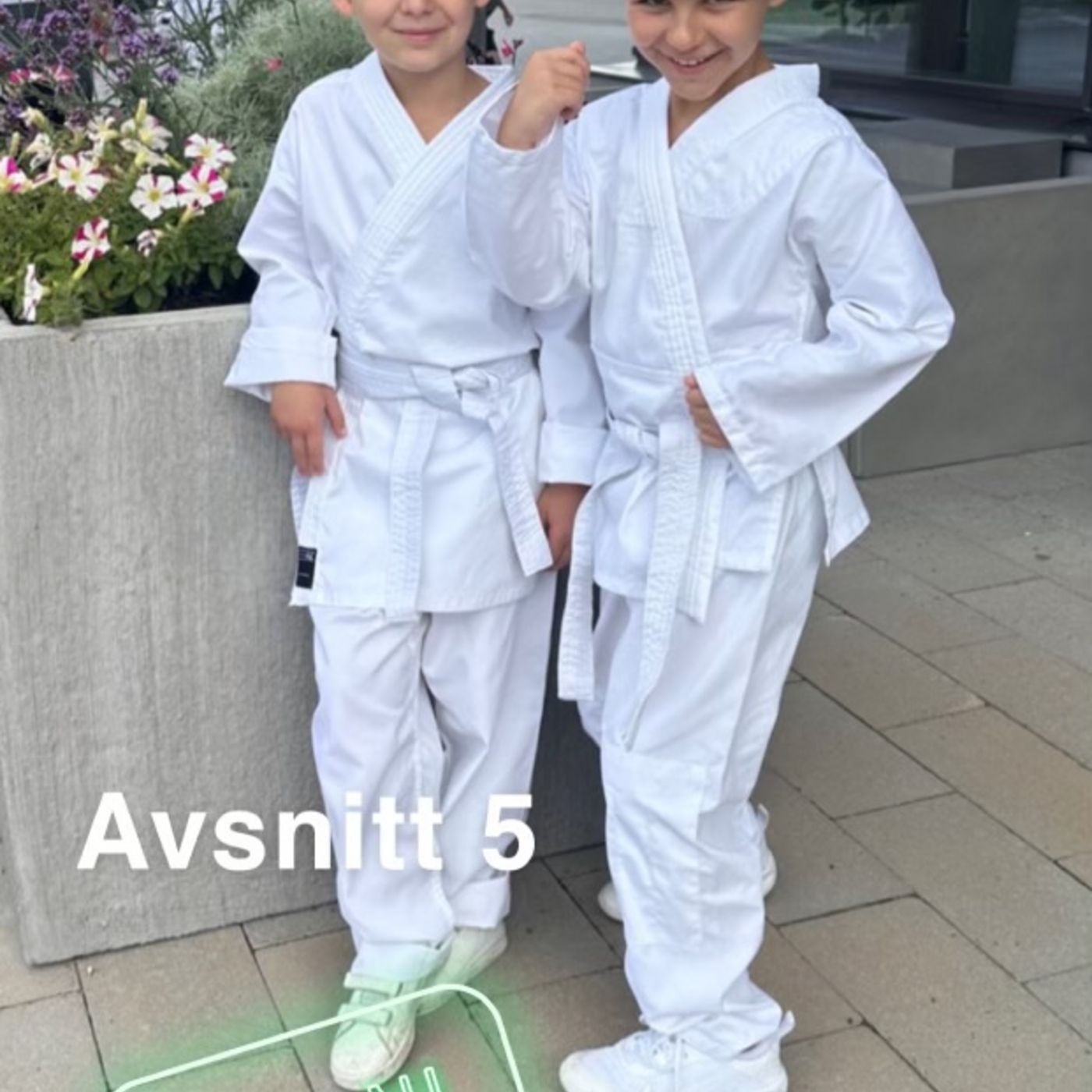 Avsnitt 5 - Aktiviteter