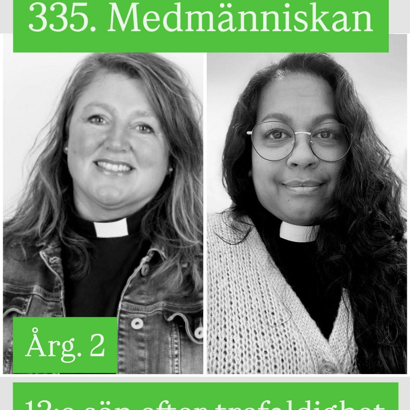 335. Trettonde sön efter trefaldighet