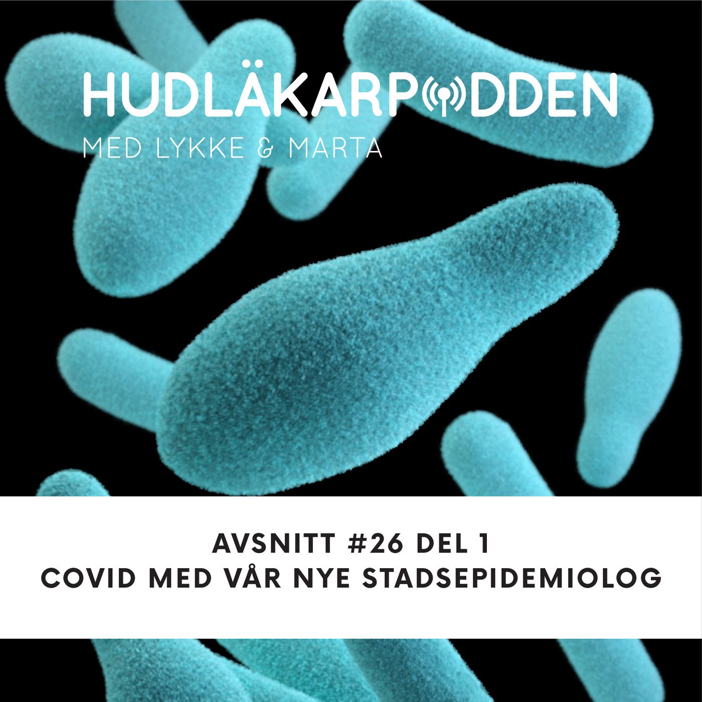 Hudläkarpodden
