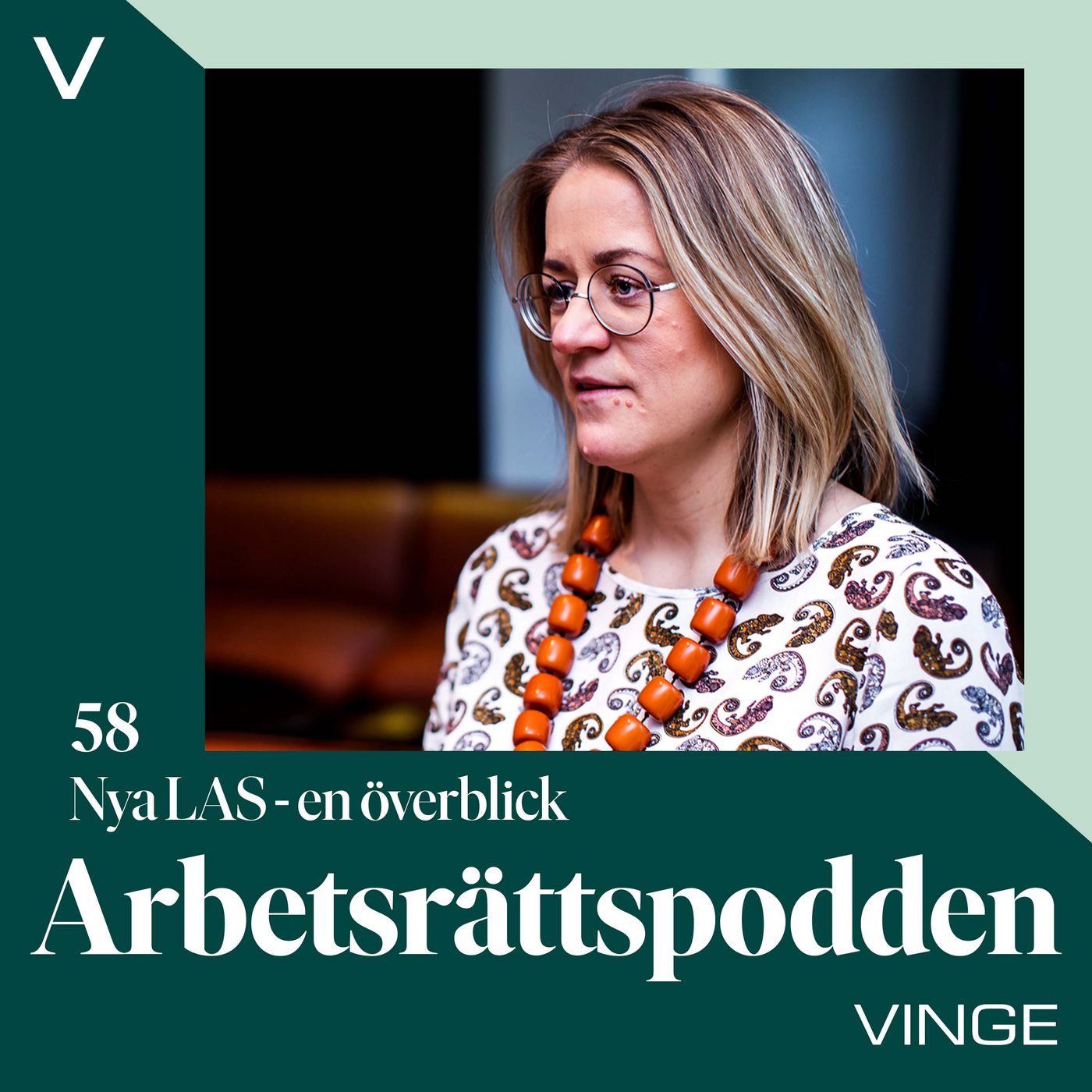 # 58 Nya LAS – en överblick
