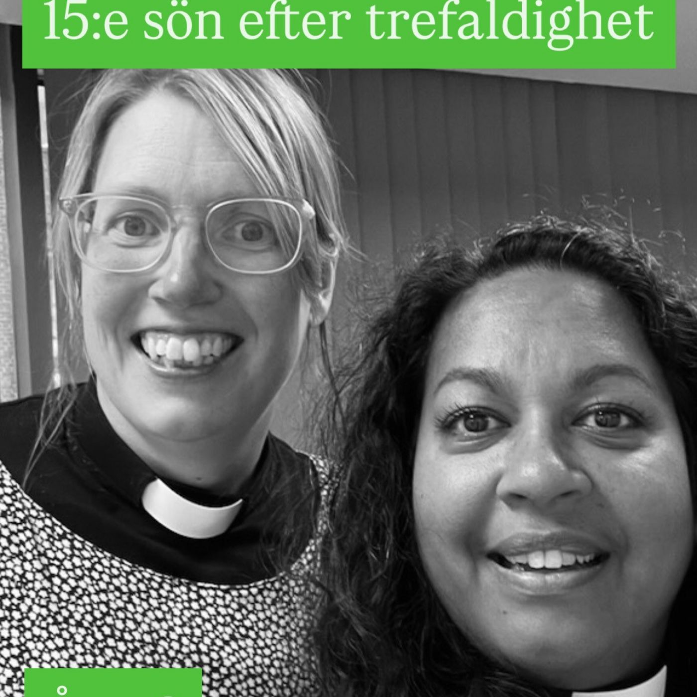 337. Femtonde sön efter trefaldighet (årg. 2)