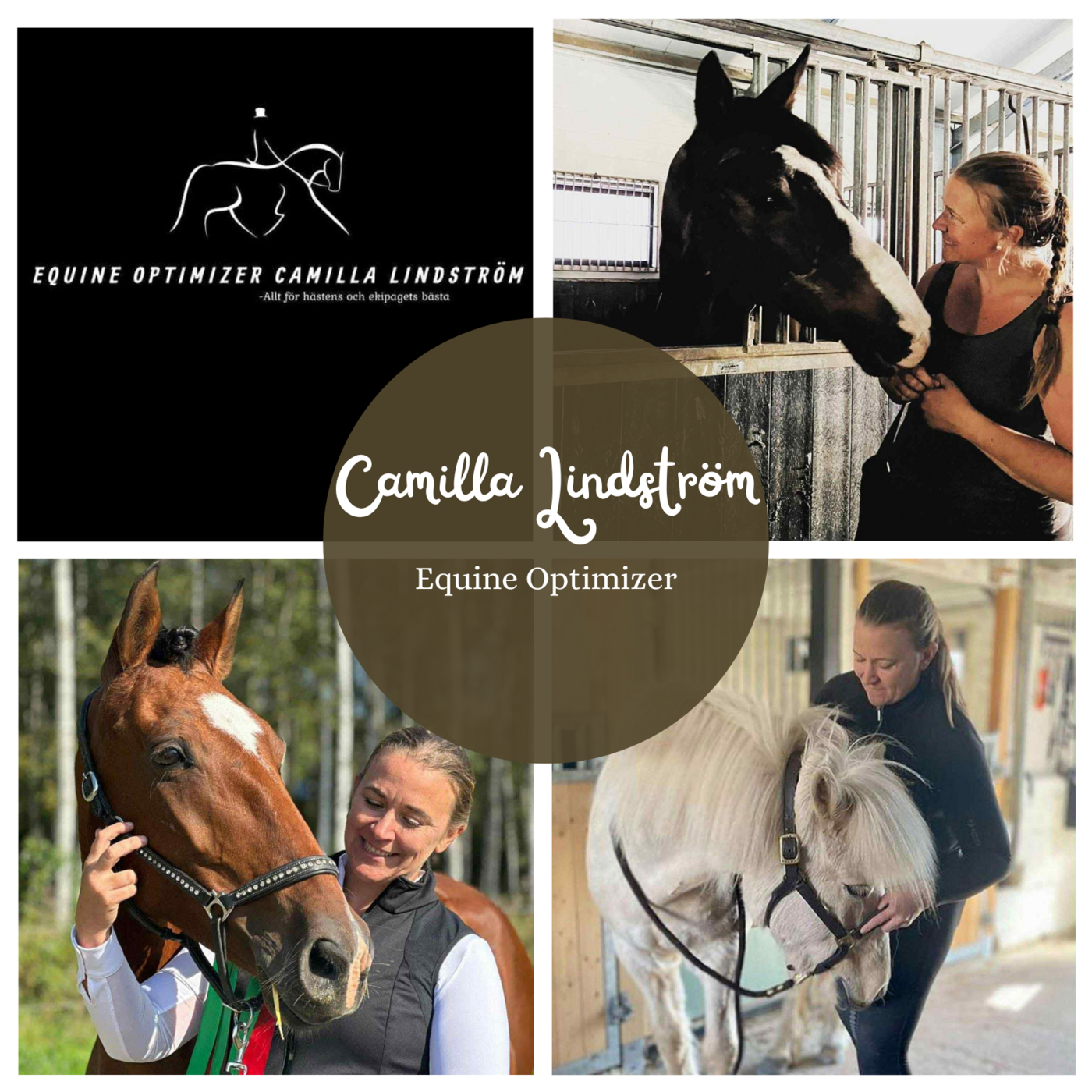 Avsnitt 54 Camilla Lindström - Equine Optimizer episode artwork