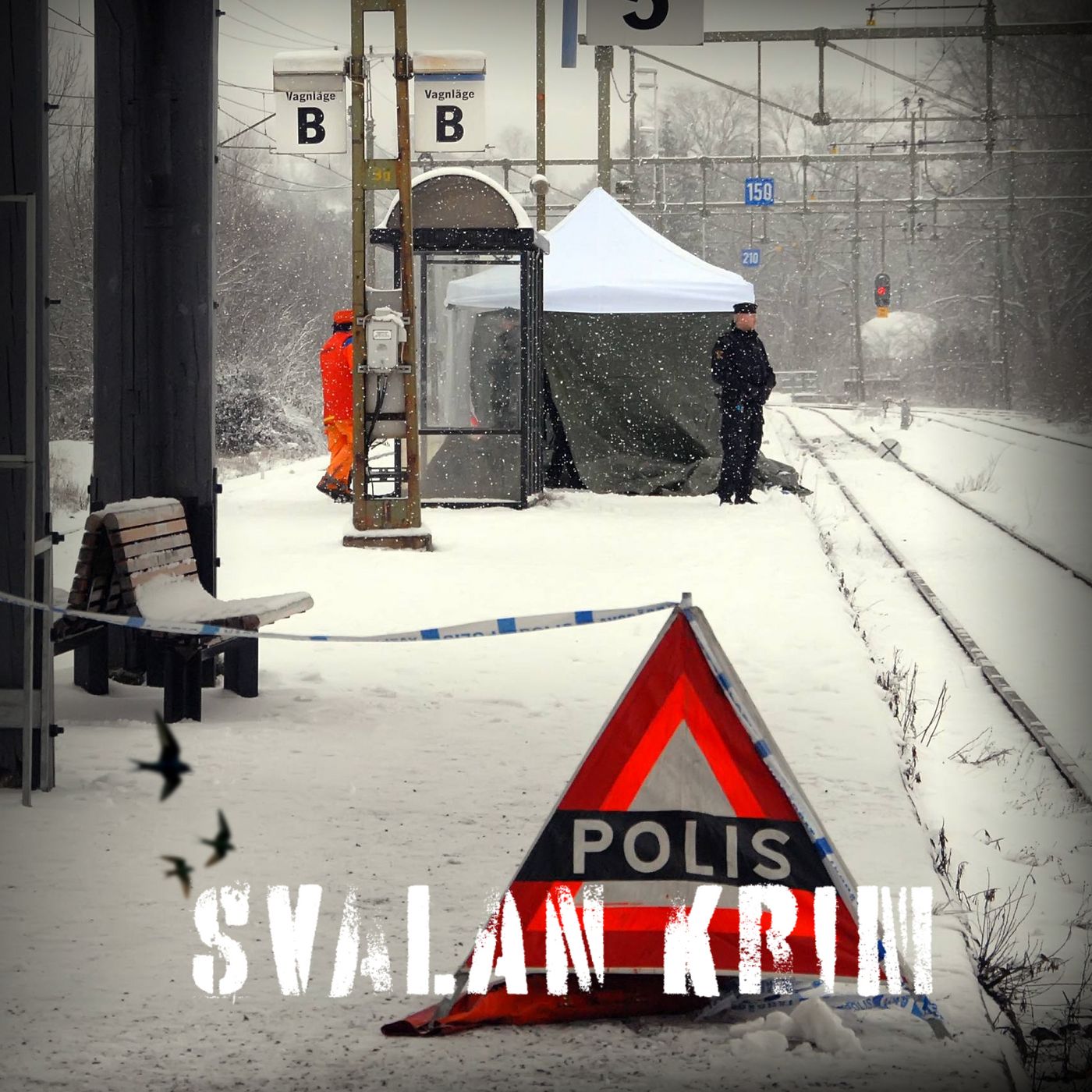 Perrongmordet - när svartsjuka blir dödlig (del 1) episode artwork