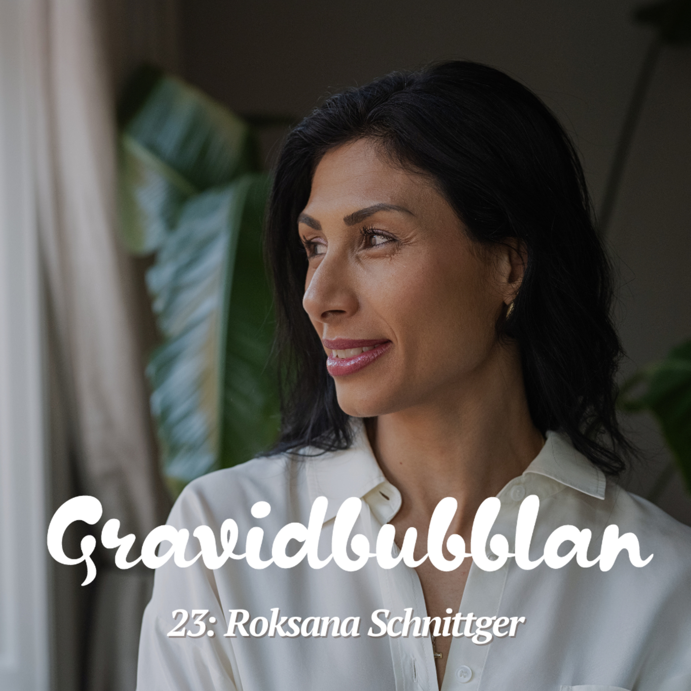 Gravidbubblan