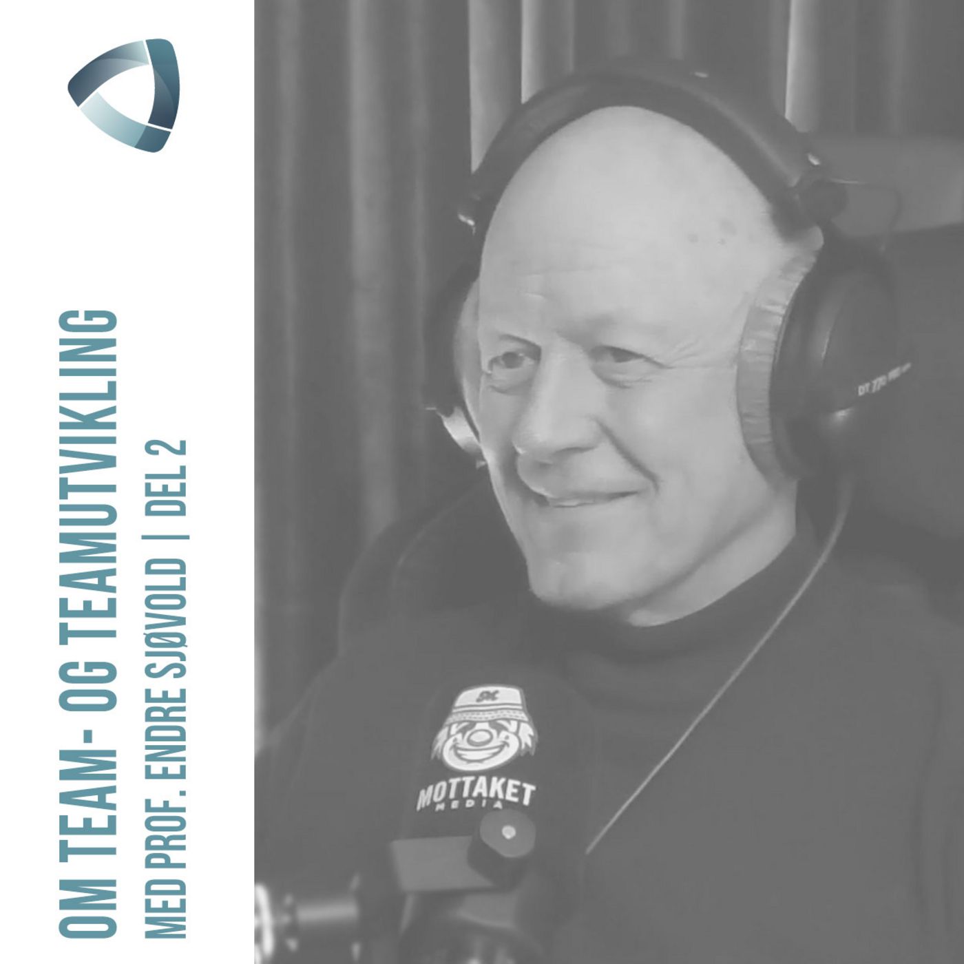 Om team- og teamutvikling - med Prof. Endre Sjøvold | del 2