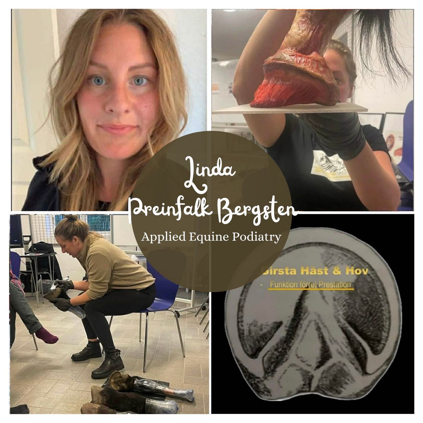 Avsnitt 70 Linda Preinfalk Bergsten - APE Applied Equine Podiatry episode artwork