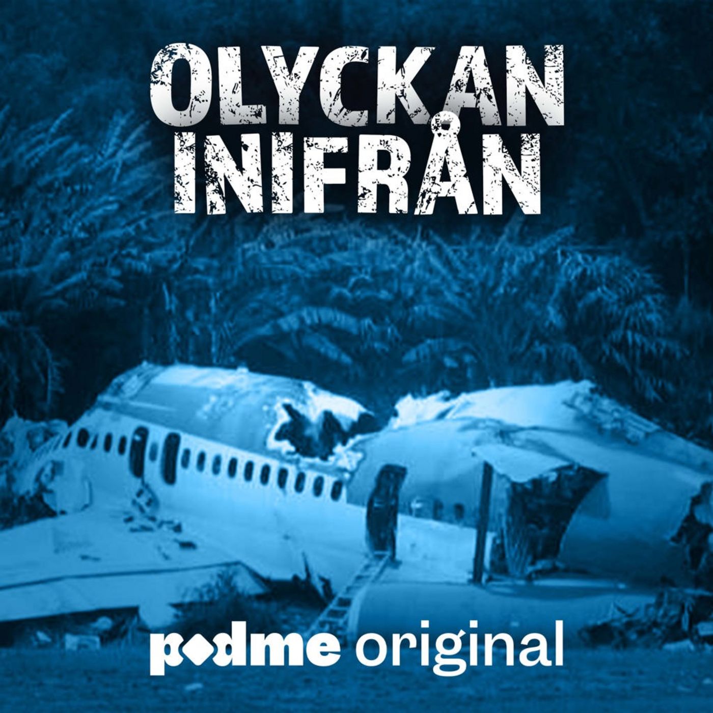 Erik överlevde flygkrasch i Phuket Erik överlevde flygkrasch i Phuket