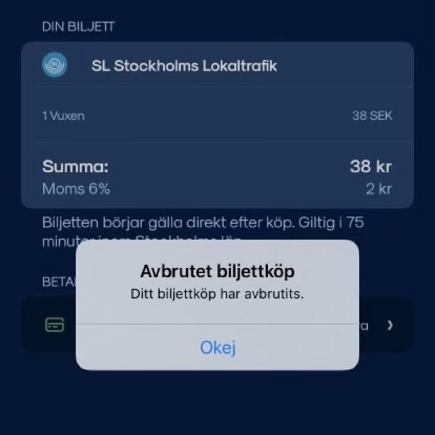 Ep 5: Var det någon som inte plankade?