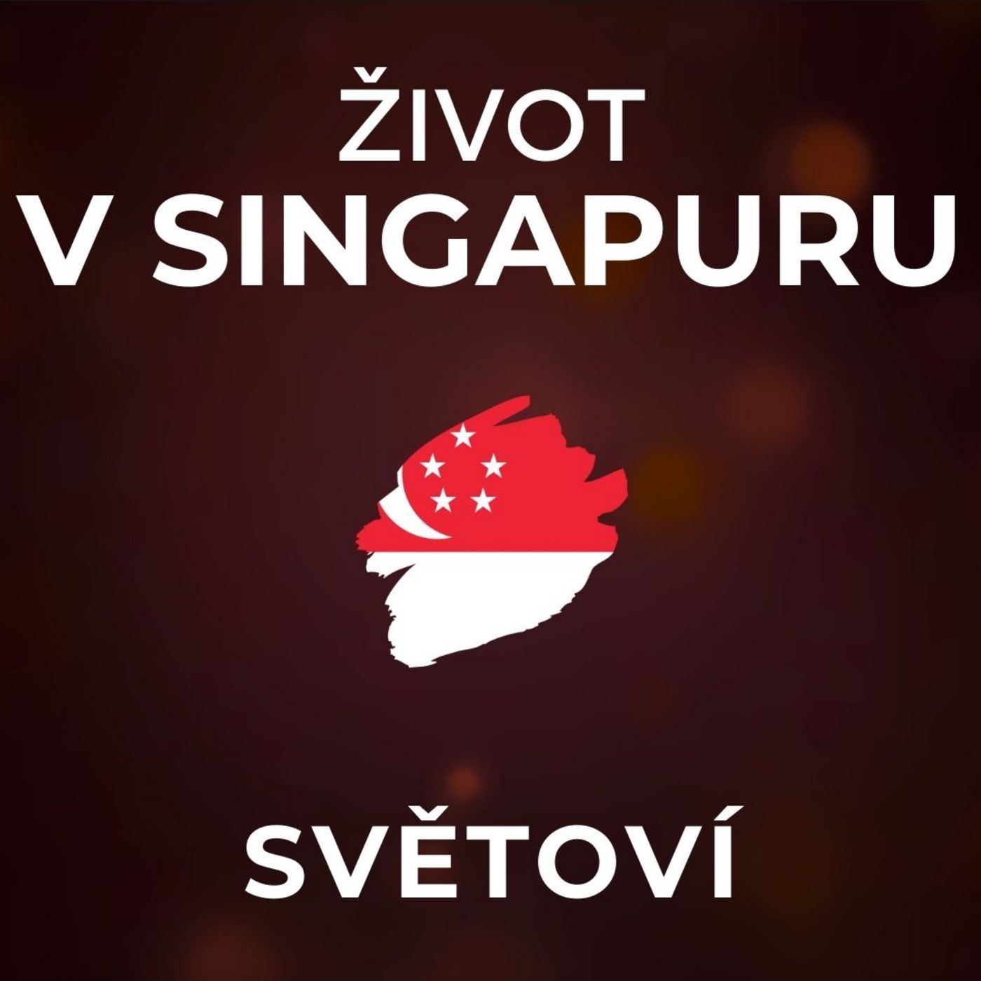 Život v Singapuru: Kamkoliv jdu, hlídá mě kamera. Třípokojový byt stojí 10 milionů Kč. | SVĚTOVÍ