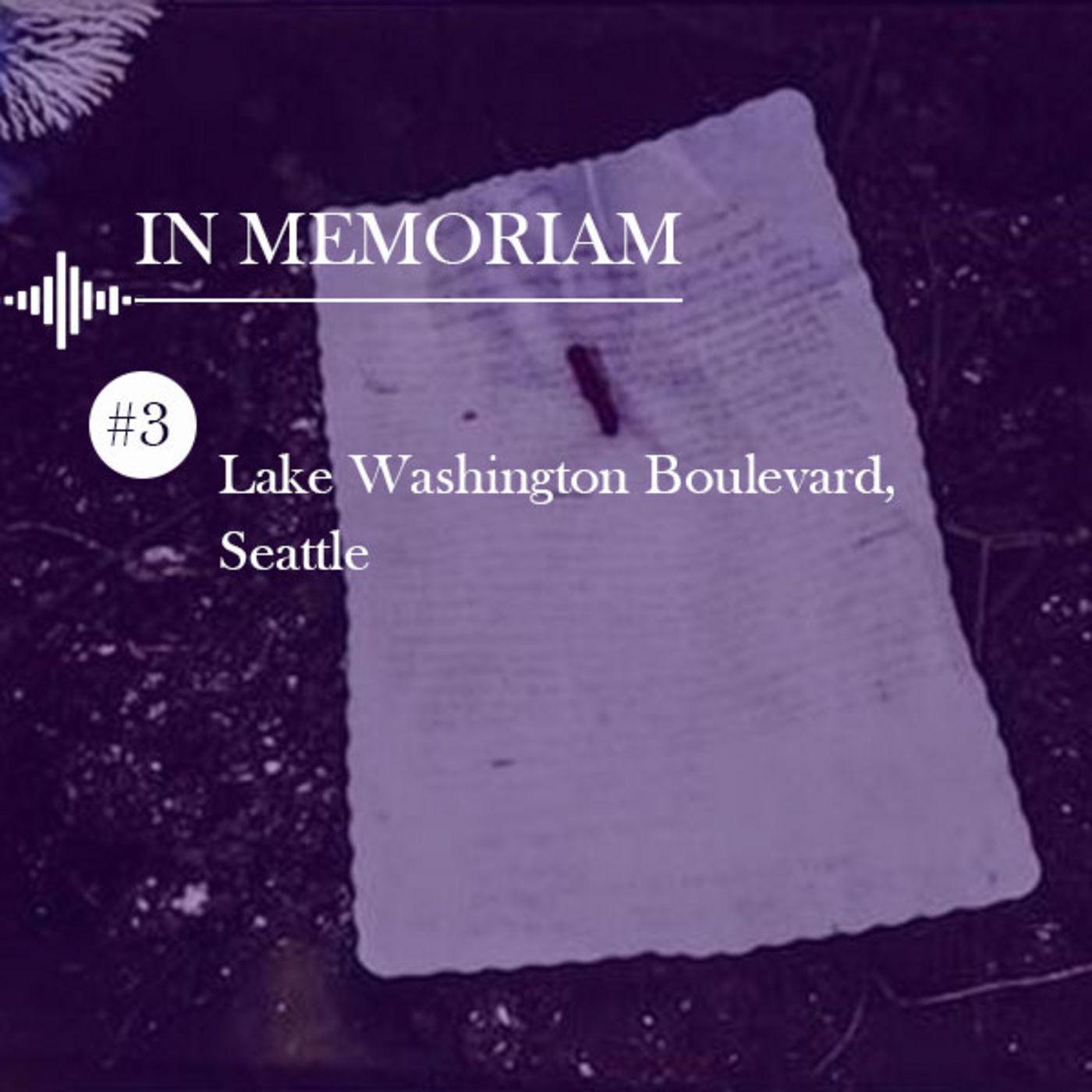 Lake Washington Boulevard, Seattle episode artwork