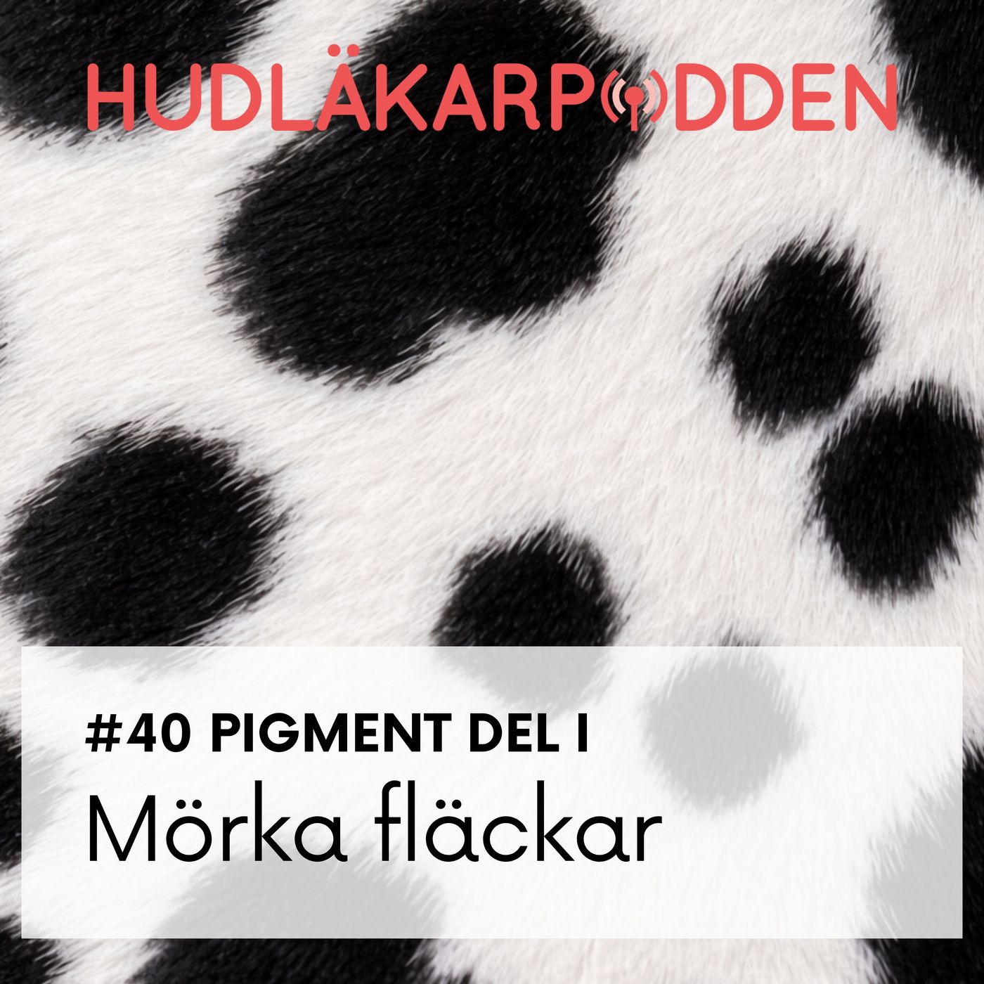 #40 Pigment del 1 - Mörka fläckar