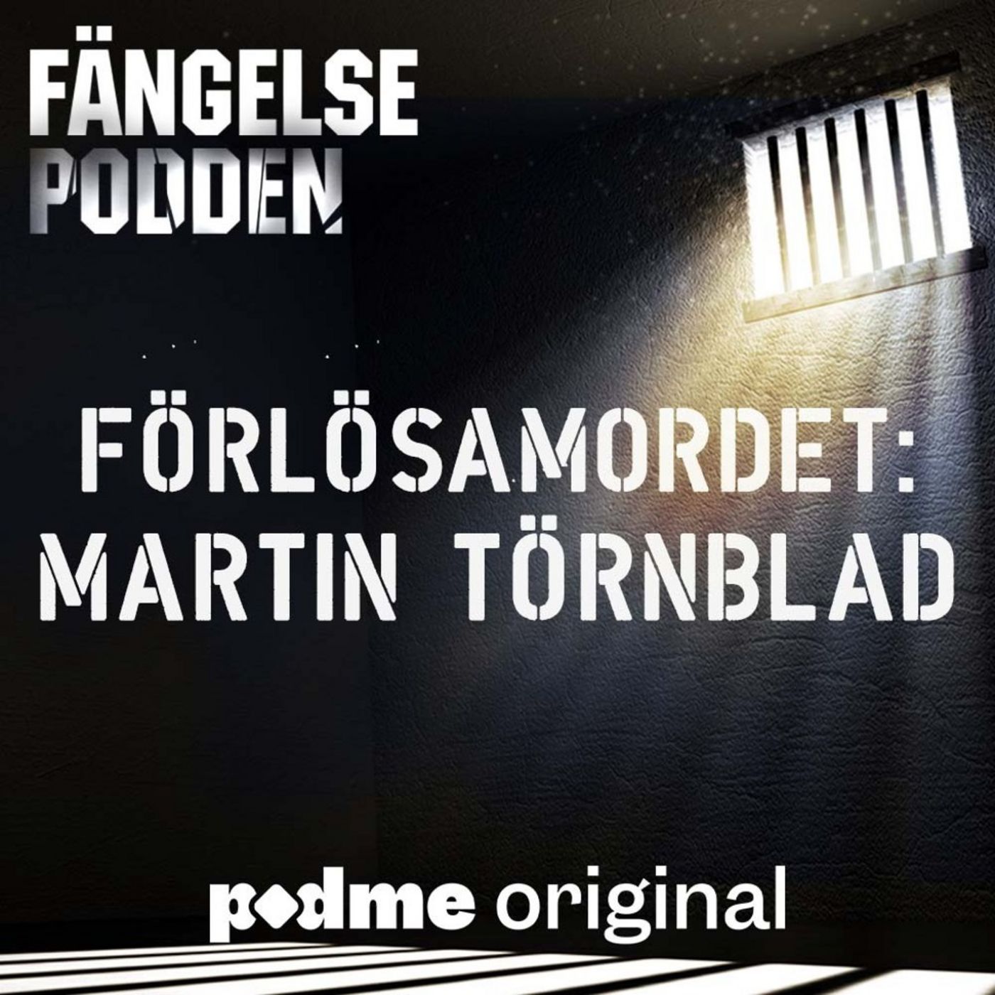Förlösamordet: Martin Törnblad