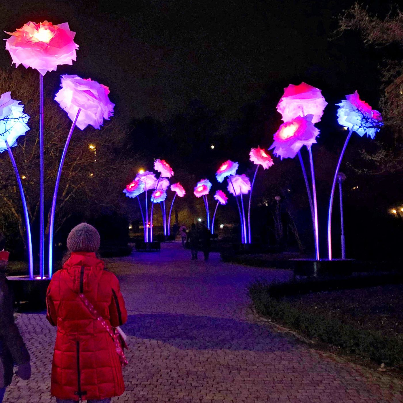 Största lasershowen någonsin på Drömljus i Helsingborg episode artwork