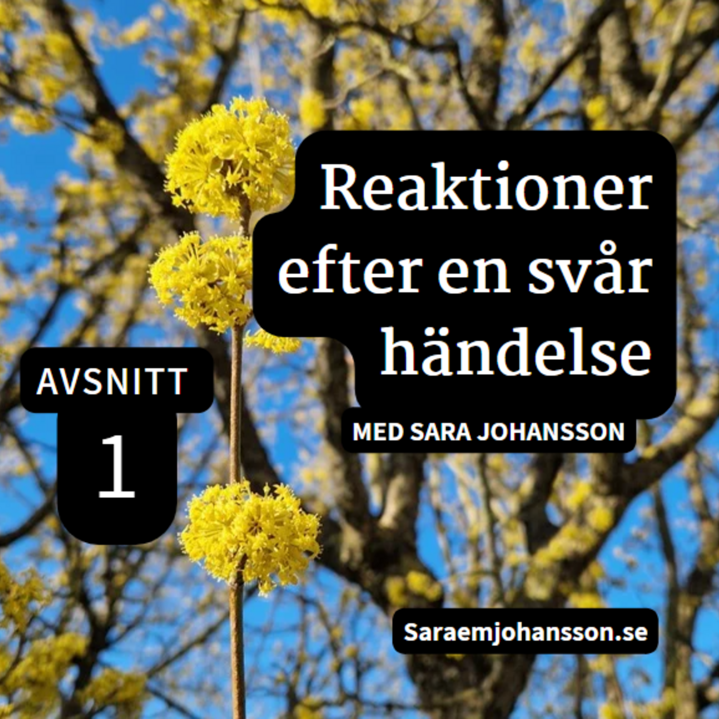 1. Reaktioner efter en svår händelse