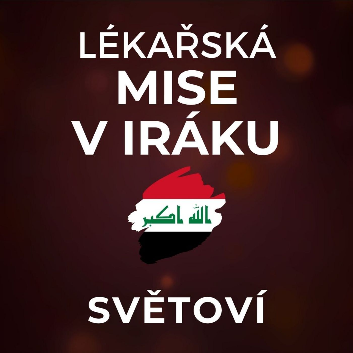 Filip Habrman: Ženám vykoupeným z rukojmí Islámského státu by se mělo pomáhat nadosmrti. | SVĚTOVÍ