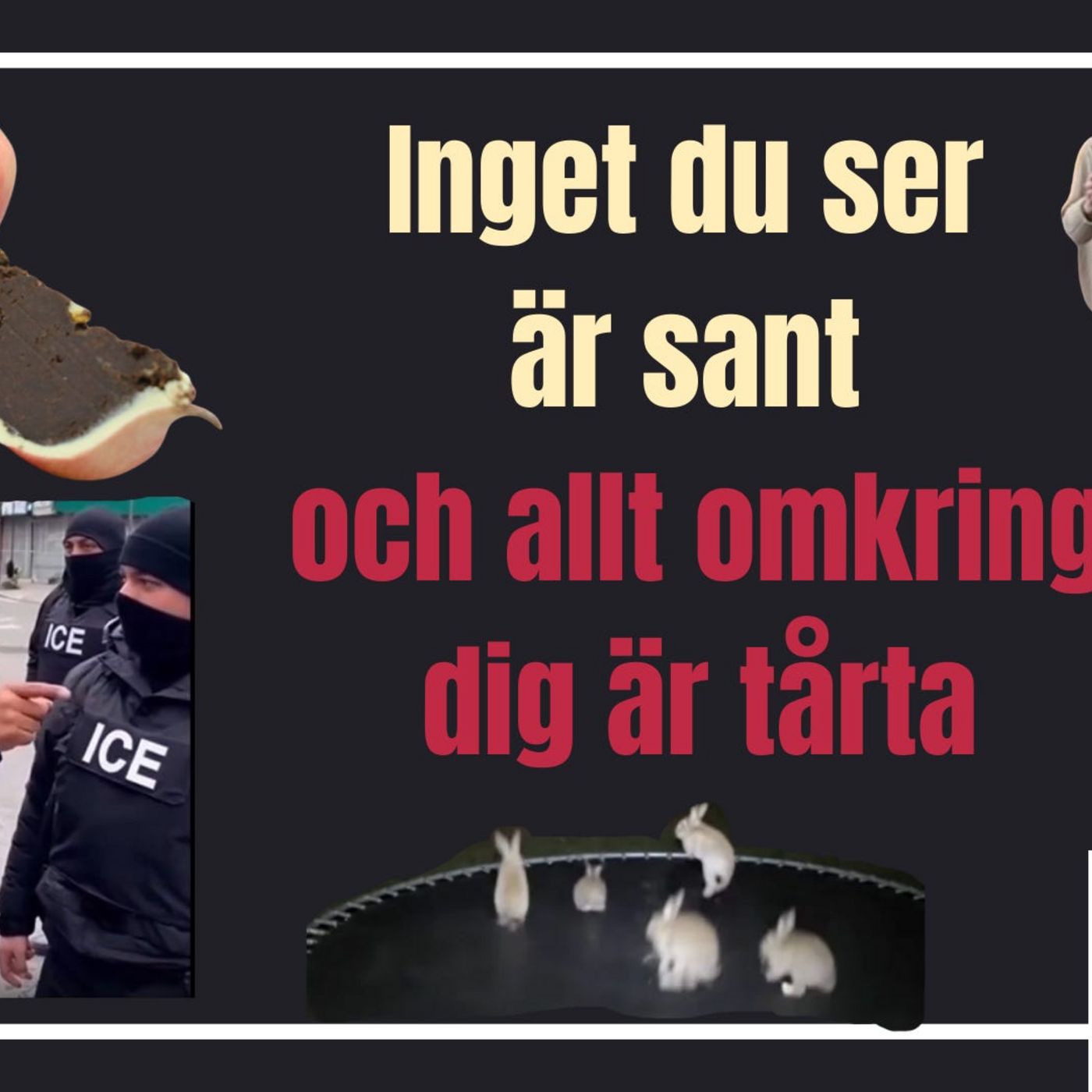Inget du ser är sant och allt är tårta episode artwork