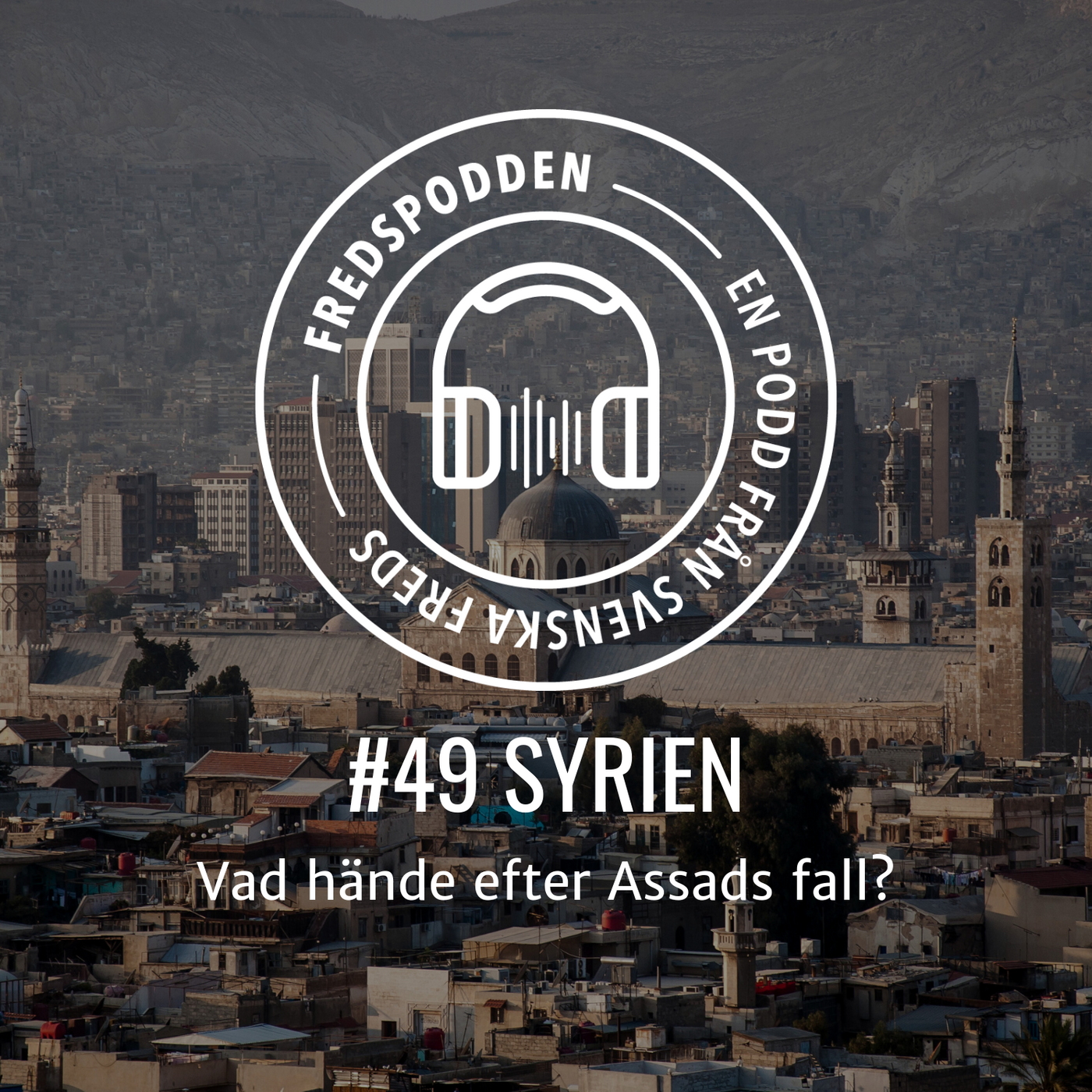 #49 - SYRIEN - Vad hände efter Assads fall?