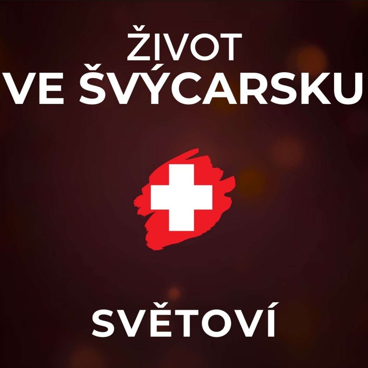 Život ve Švýcarsku: Většina migrantů je integrovaná dobře. Průměrný plat je 150 000 Kč. | SVĚTOVÍ