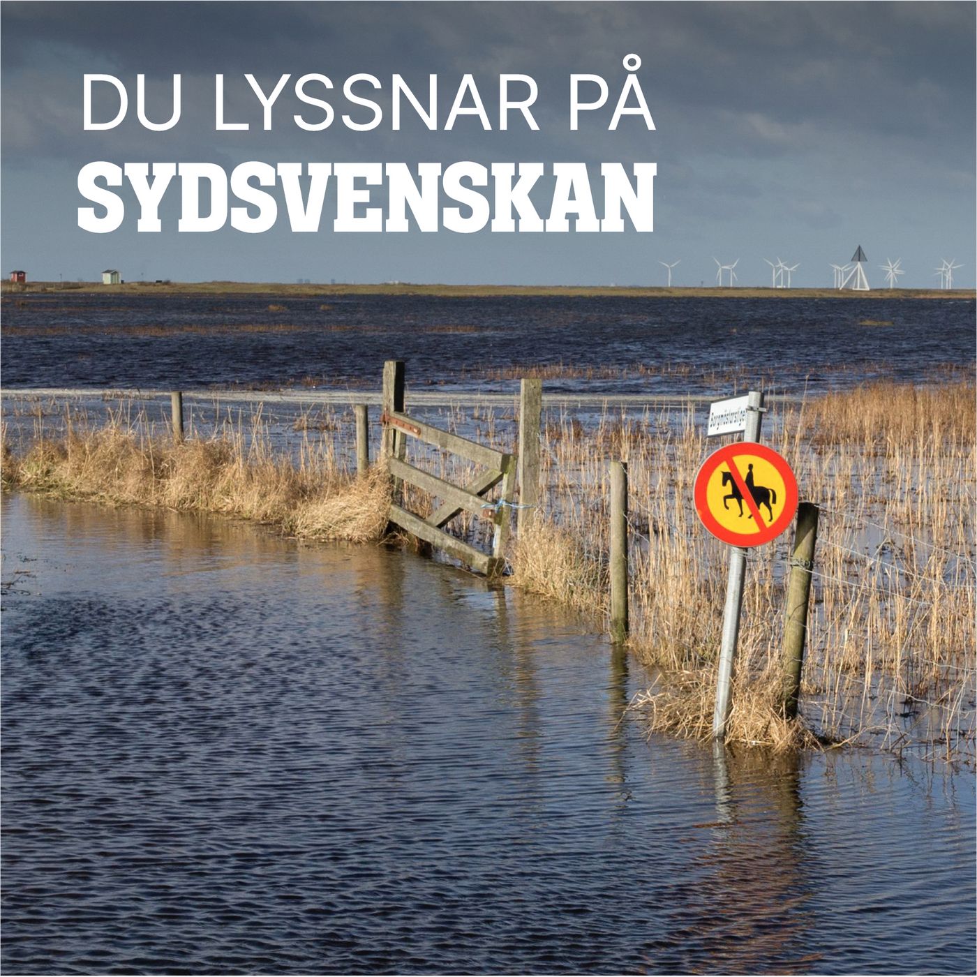 Så ska vallar skydda Näset mot översvämning episode artwork