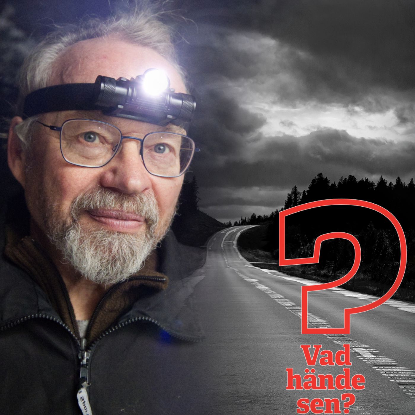 Vad hände sen, Lars Törnman? Vad hände sen, Lars Törnman?