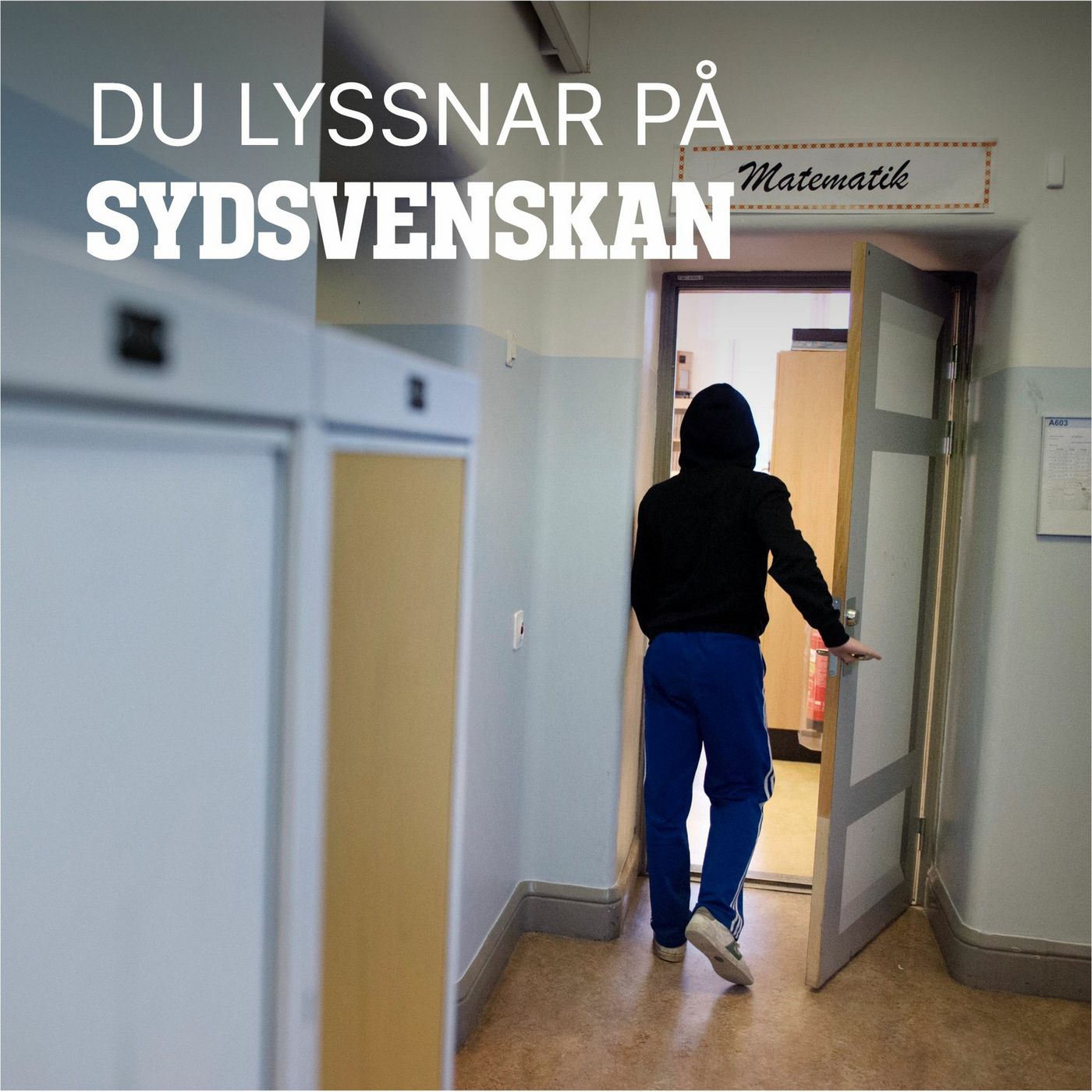Är skolsegregationen medelklassens fel? episode artwork