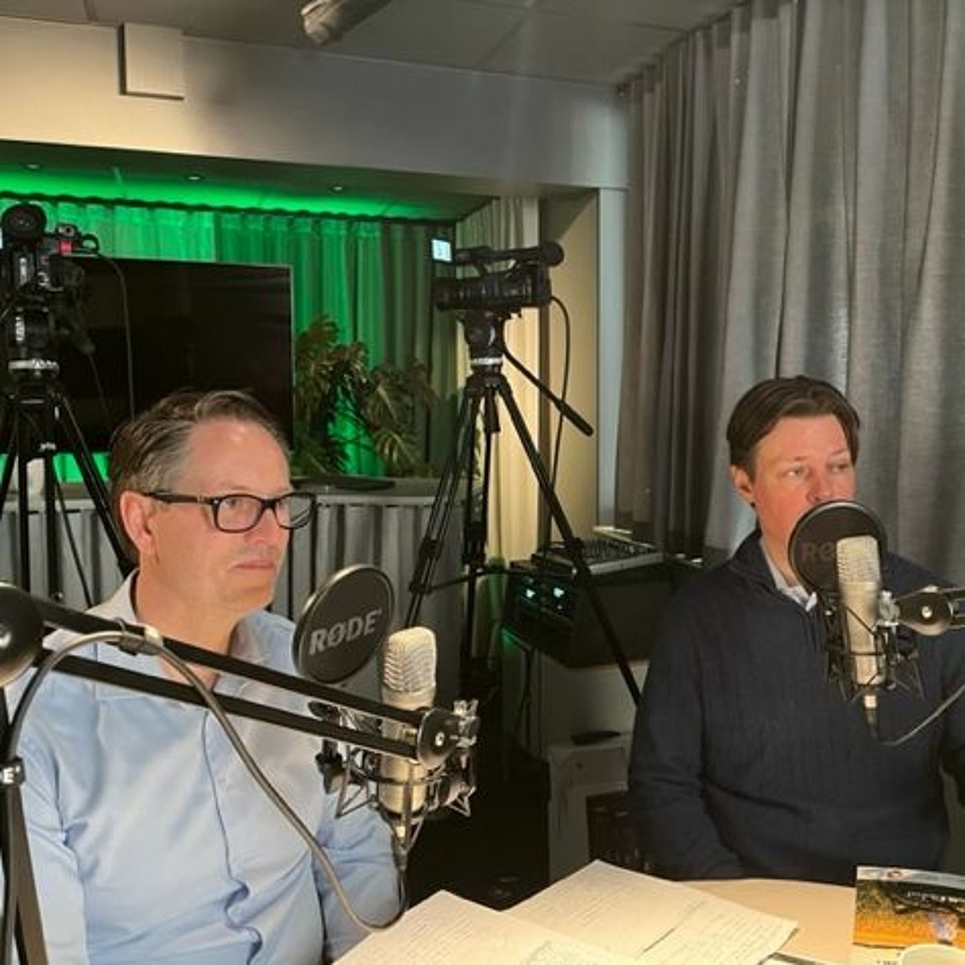 Placerapodden
