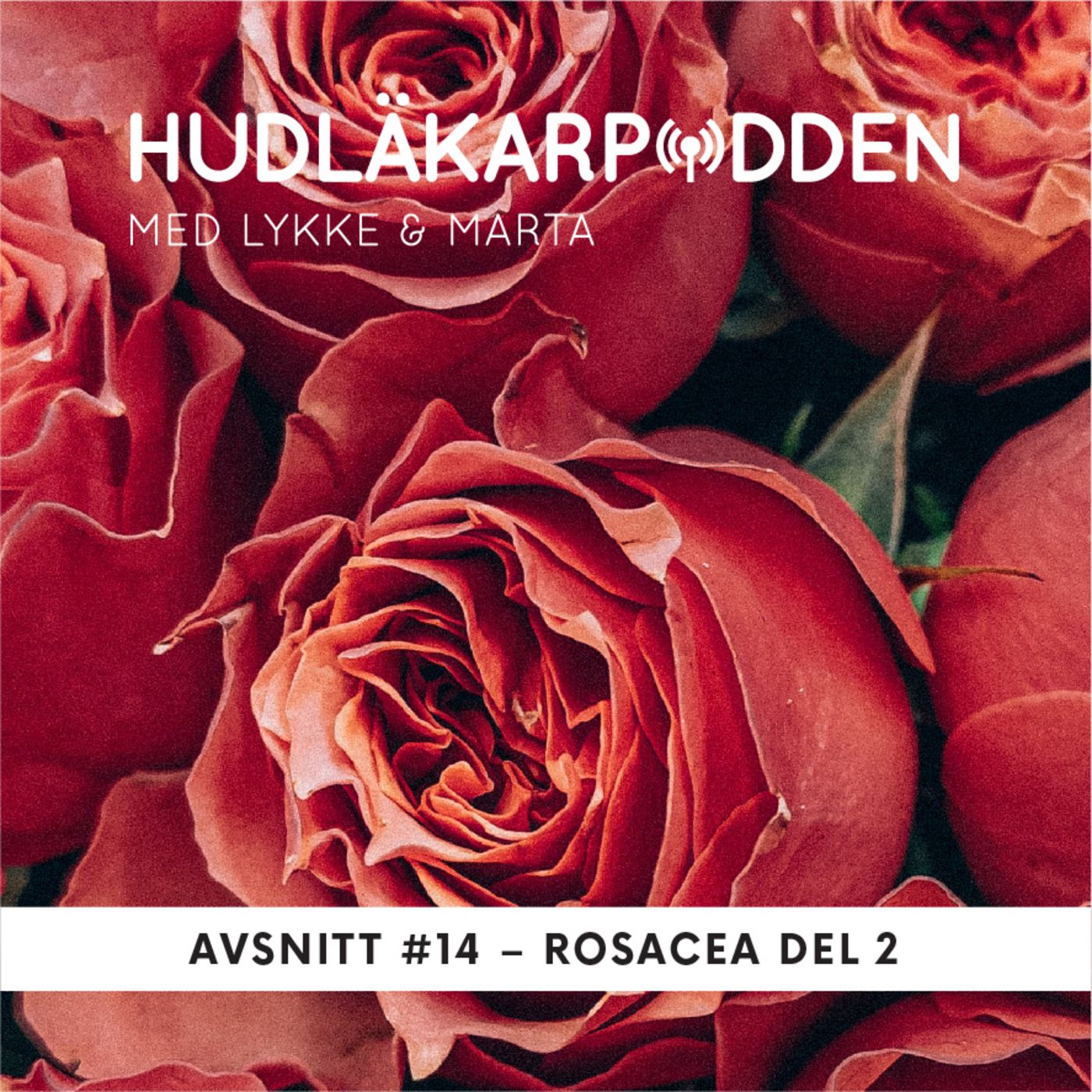 Hudläkarpodden
