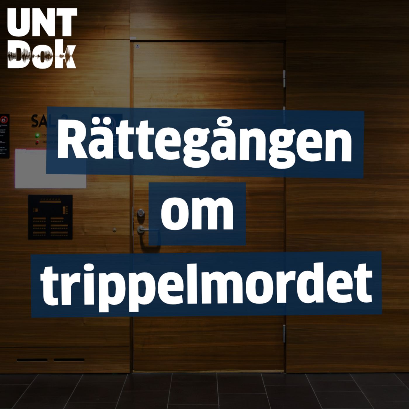 Rättegången om trippelmordet