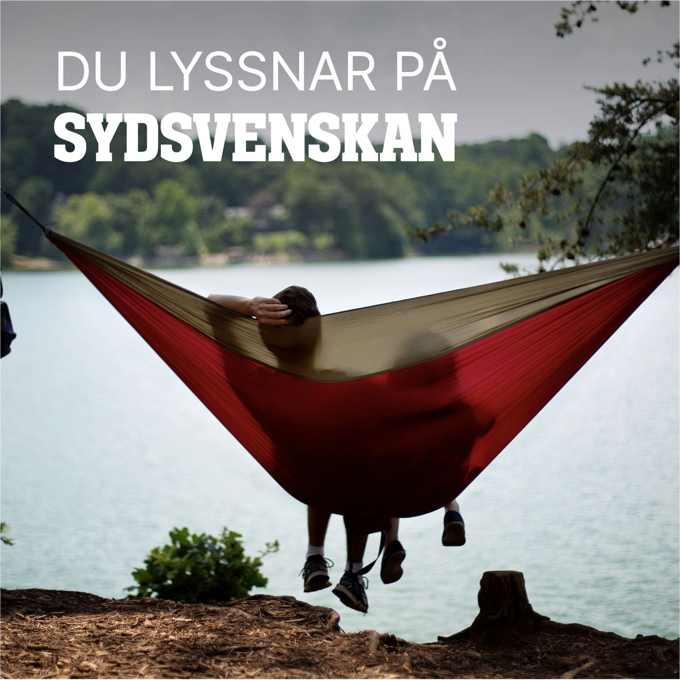 Är fyradagarsveckan här? episode artwork